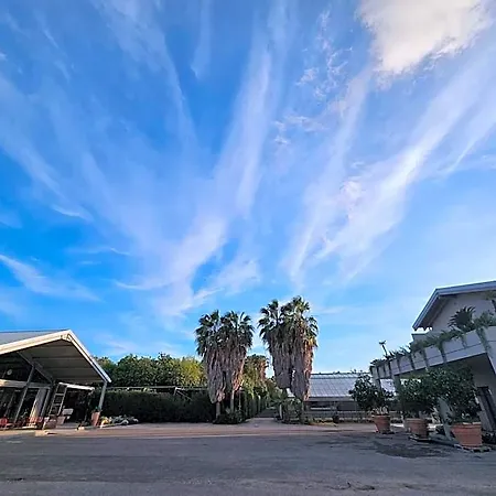 Hotel Ros'e Mari 4*